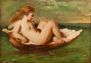 Cupid in a Shell